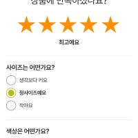 review of 세컨스킨 베이직 캐미브라 3종 SET