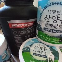 review of 독일 미셀라카제인 농축 우유단백질 헬스 보충제 초코맛 저먼프로트 저먼미셀 1.2kg