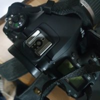 review of Nikon D3000