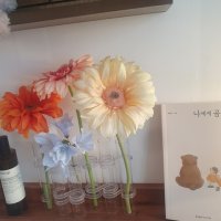 review of 오브제 도자기 체체화병 이케바나 인테리어 꽃꽂이 꽃병 3컬러