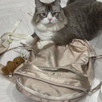 review of 아우로 Painter bag [ Cream ]