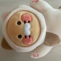 review of KG 카카오 프렌즈 냥냥고양이 안전벨트커버 춘식이