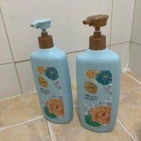 review of 리엔 리엔 서향 샴푸 950ml