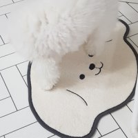 review of 그린 강아지 귀여운 카펫 발매트 비숑 푸들 러그