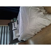 review of 독일 FAN 판 프랑켄스톨츠 메디산 softly comfort 토퍼 160x200