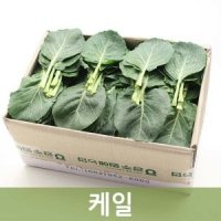 review of 친환경 유기농 케일 쌈용/즙용 1kg