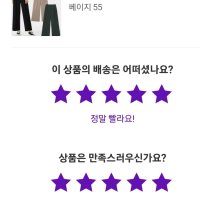 review of 뉴컬러 추가/프라다원단 핀턱 밴딩 9부 주름 와이드 큐롯 롱 치마 바지