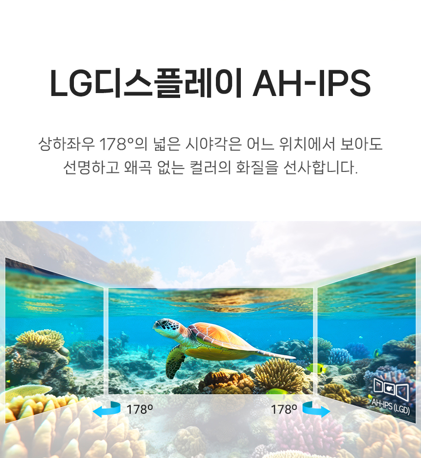 1809336489.jpg