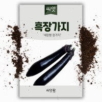 흑장가지 200립 가지 씨앗 가지 종자