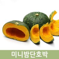 미니밤단호박 2kg (3~6개)웰빙 두리반농산