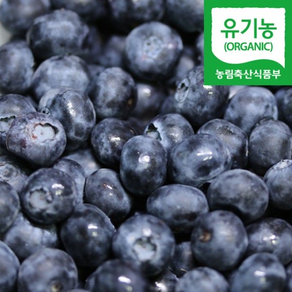 국산 유기농 냉동 블루베리 1KG