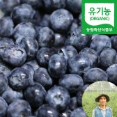 국산 유기농 냉동 블루베리 1kg