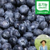 국산 유기농 냉동 생 블루베리 1kg