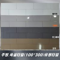 주방 및 욕실 타일/100x300/단색 유광 타일