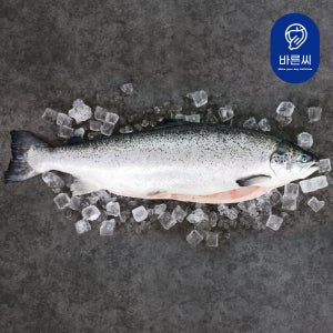 노르웨이 생연어 한마리 6-7kg 손질가능