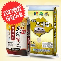 당일도정 2023 철원오대쌀 20kg