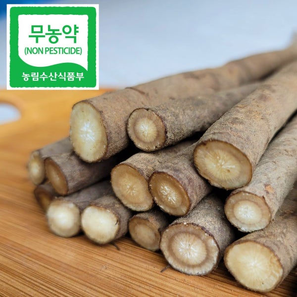 진주우엉 26년 8월 수확 무농약 햇우엉 2kg 직접재배 산지직송 친환경 국산