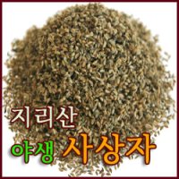 사상자 /건조 300g/청정지역 약초고을 지리산 야생  오자의 원료