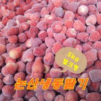 논산냉동딸기(5kg 벌크) 스무디 딸기잼 냉동식품 과일주스