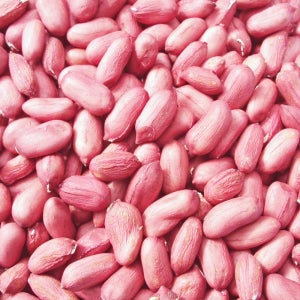 쌀아지매 국산 햇 알땅콩 1kg 토종땅콩 고소한 생땅콩 땅콩밥 볶음등 재료