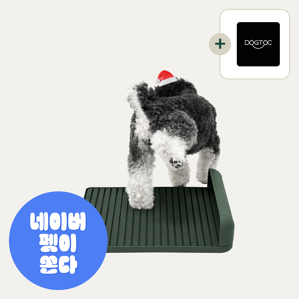독톡 강아지 배변판 M 패드없이사용