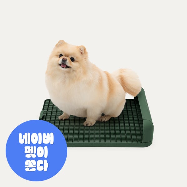 독톡 강아지 배변판 M 패드없이사용