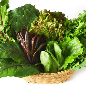 친환경 쌈채소 1kg 6종 내외입