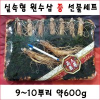 금산인삼 원수삼중 9~10뿌리 수삼선물세트