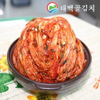 태백골 김치 생 포기 배추 김장 김치 5kg