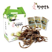 자연산 머위뿌리 300g 봉두채 머위뿌리 즙 차 110mlX30개입