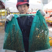 참나무 겨우살이 자연산 강원도 겨우살이건조 곡기생 300g