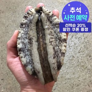 전복가격 최저가 가성비상품