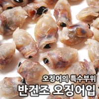 빅건어물 반건조 오징어입 400g 800g 국내산 건조 오족 가문어