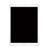 애플 아이패드프로 iPad Pro 12.9 WiFi 256G