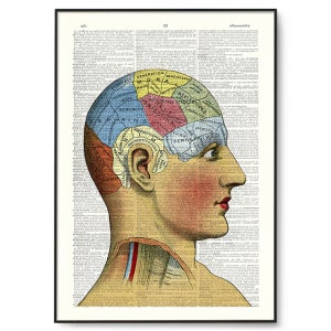 인체 머리 골상학 얼굴 컬러 일러스트 그림 작업 딕셔너리 아트, 아트인데코 빈티지 프린트- artindeco - DA161