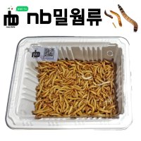 살아있는 nb 밀웜 서비스밀기울O 극소 200+40 개구리 도마뱀 사마귀 먹이 슈퍼밀웜