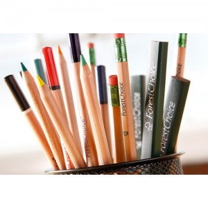 팔로미노 포레스트 초이스 연필 HB(1더즌/12자루)