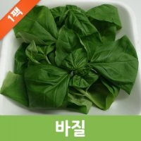 바질 1팩 바질잎/생잎/500g,1kg