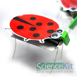 (과학키트) 진동로봇(4인용) / 전기회로 과학실험