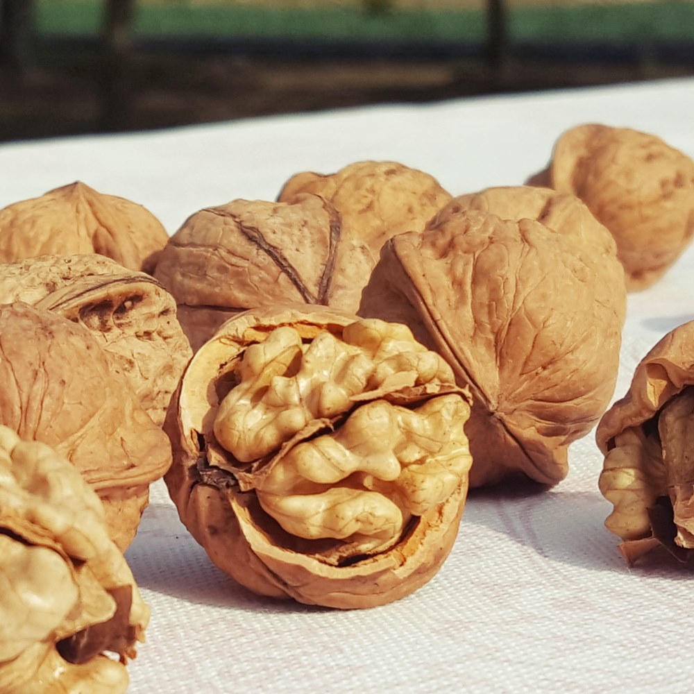 2025년 수확분 신선한 국산 햇호두 김천 알호두 피호두 견과류 농장 직송