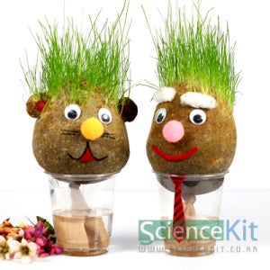 (과학키트) 잔디인형(4인용) / 새싹키우기 과학실험