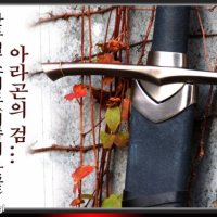 (비젼)PT 17 아라곤의 검 가검