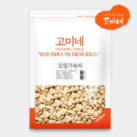 모링가속씨 200g