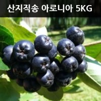 아로니아 생과5kg