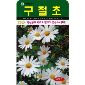 구절초 씨앗 1000립 야생화 꽃씨앗