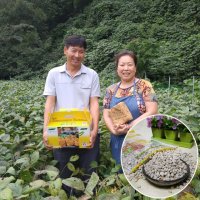 고령메주 강영숙님이 농사지은 국산 콩 알메주 알알이 개량메주 5kg