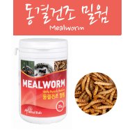 (애니몰밥) 동결건조 밀웜50g - 햄스터밀웜.고슴도치밀웜.앵무새밀웜.닭밀웜.메추리밀웜.밀웜.건조밀웜.동결건조밀웜.밀웜간식.햄스터간식.다람쥐간식.고슴도치간식.다람쥐단백질보충최고!