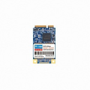 디지탈그리고나 e-STAR SX301 mSATA (256GB)