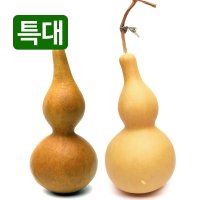 천연 통조롱박 특대 통박 표주박 민속소품 전통장식