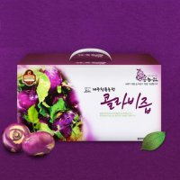 청룡농원 제주 콜라비즙 110ml x 75개입